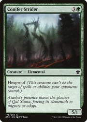 Conifer Strider 179