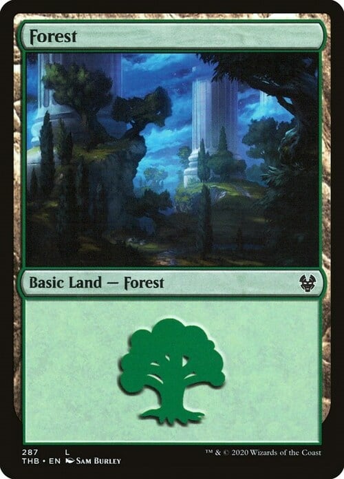 Forest Card Front