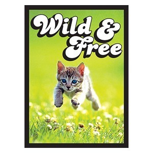 60 Small Kitten Sleeves