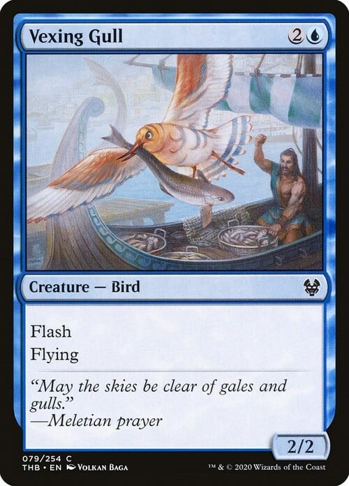 Vexing Gull Card Front