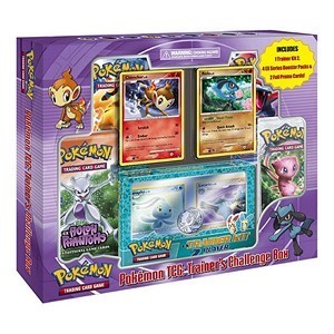 Trainer's Challenge Box