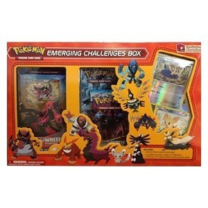 Emerging Challenges Box