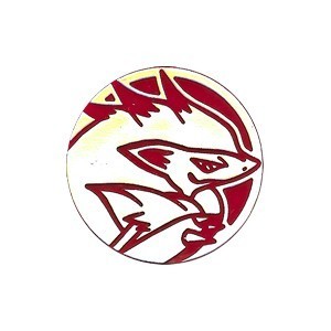 Dark Explorers: Zoroark Coin (Raiders Theme Deck)