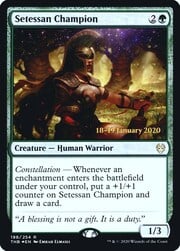Setessan Champion 198