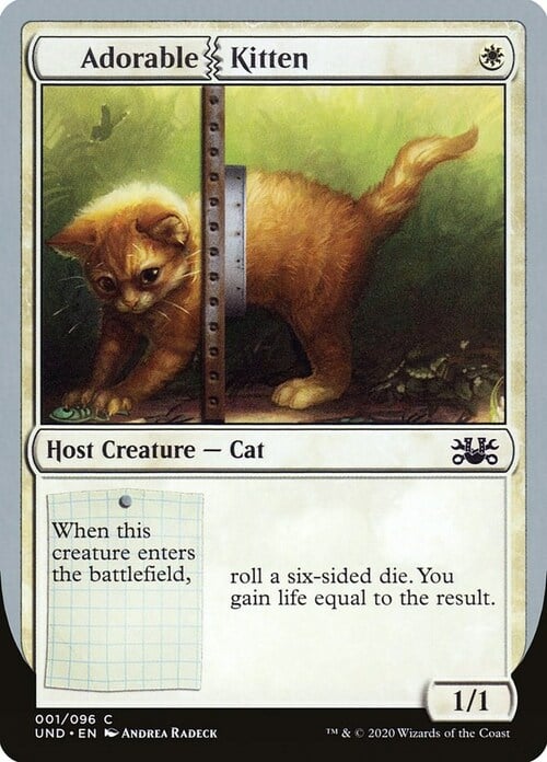 Adorable Kitten Card Front