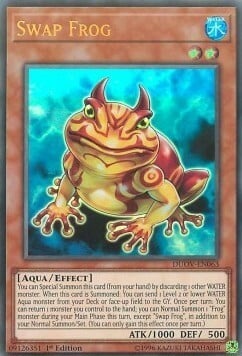 Swap Frog Card Front