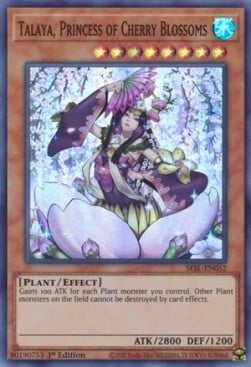 Talaya, Princess of Cherry Blossoms Card Front