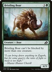 Bristling Boar 146