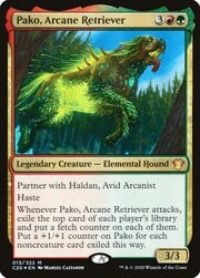 Pako, Arcane Retriever 013