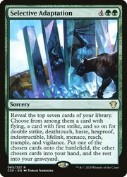 Selective Adaptation 065