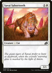 Savai Sabertooth 029