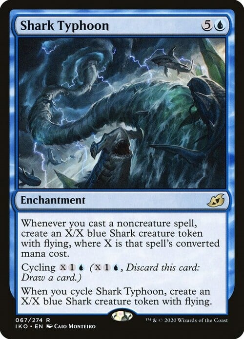 Shark Typhoon Card Front