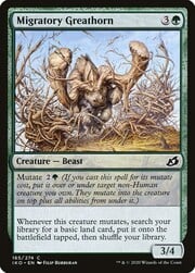 Migratory Greathorn 165