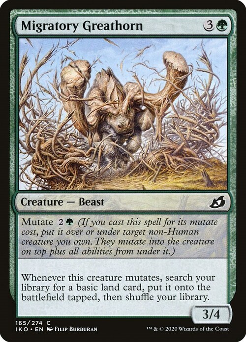 Migratory Greathorn Card Front