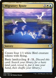 Migratory Route 222