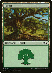 Forest · 31 031