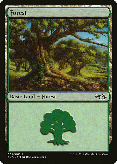 Forest Card Front
