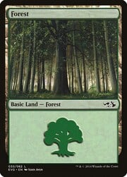 Forest · 30 030