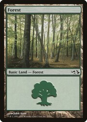 Forest · 29 029
