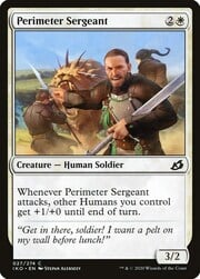 Perimeter Sergeant 027
