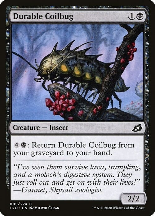 Durable Coilbug Card Front