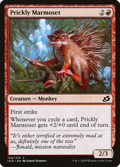 Prickly Marmoset Card Front