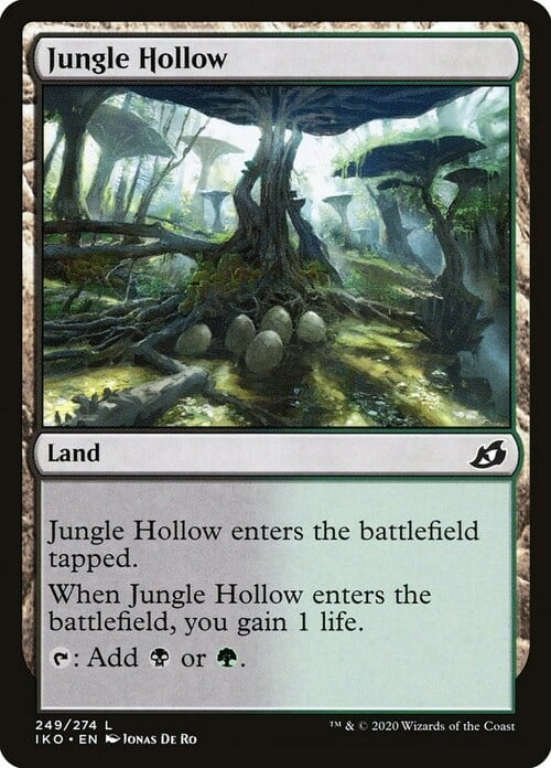 Jungle Hollow Card Front