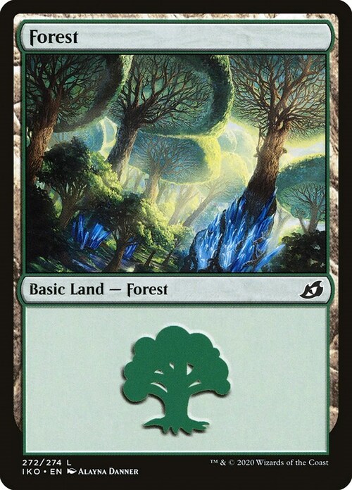 Forest Card Front