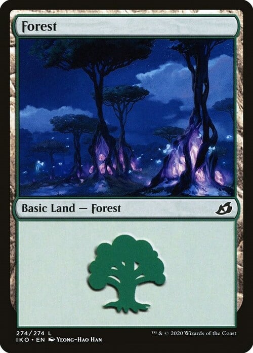 Forest Card Front