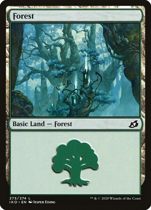 Forest Card Front