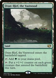 Oran-Rief, the Vastwood 305