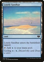 Lonely Sandbar 304