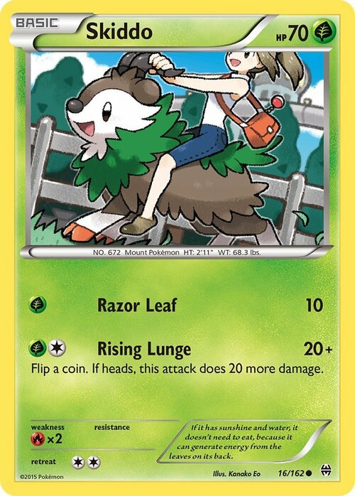 Skiddo Card Front