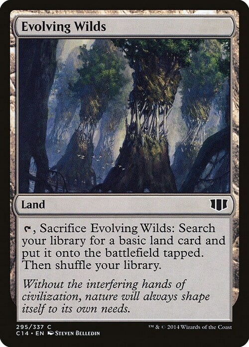 Evolving Wilds Card Front