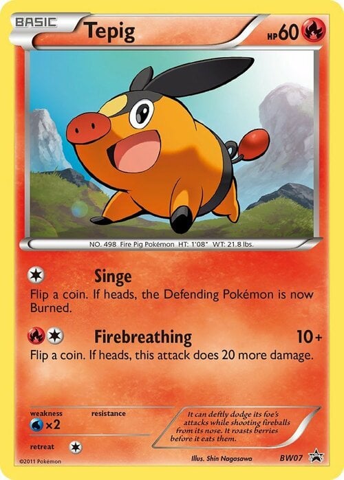 Tepig Card Front