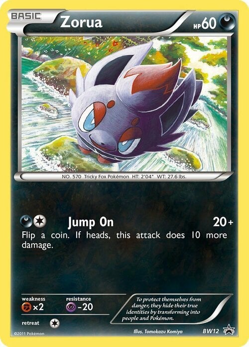 Zorua Card Front