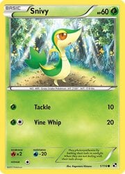 Snivy [Tackle | Vine Whip]