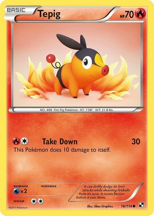 Tepig [Take Down] Card Front