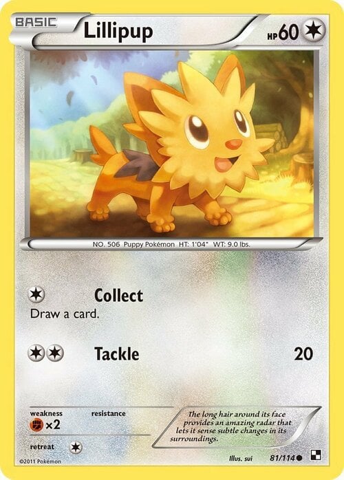Lillipup [Collect | Tackle] Frente