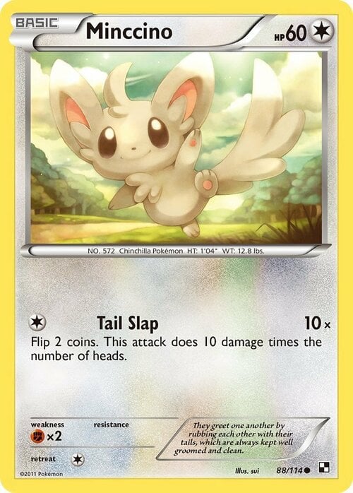 Minccino Card Front
