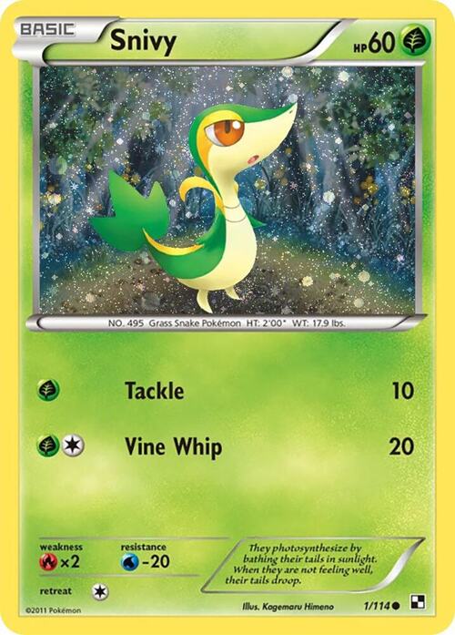 Snivy Card Front