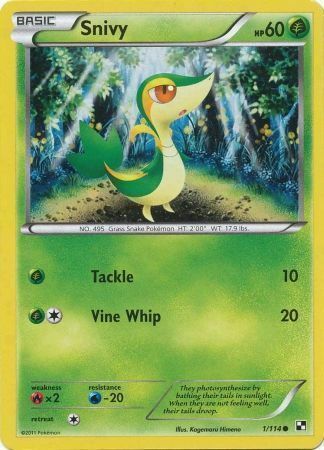 Snivy Card Front