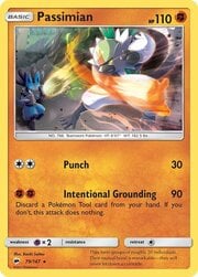 Passimian [Punch | Intentional Grounding]
