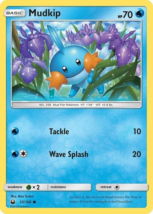 Mudkip Card Front