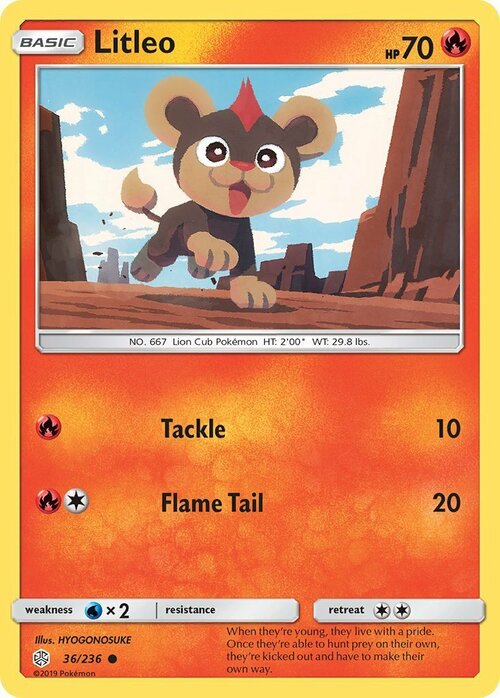 Litleo [Tackle | Flame Tail] Card Front