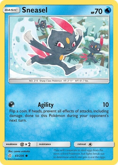 Sneasel Card Front