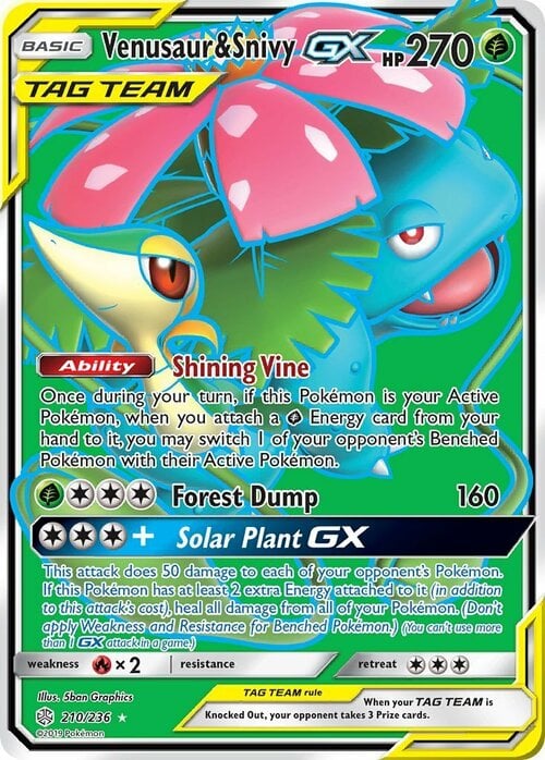 Venusaur & Snivy GX Card Front