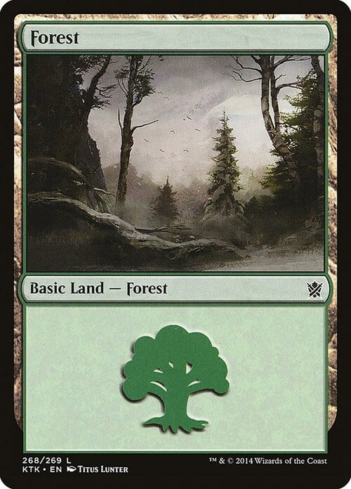 Forest Card Front