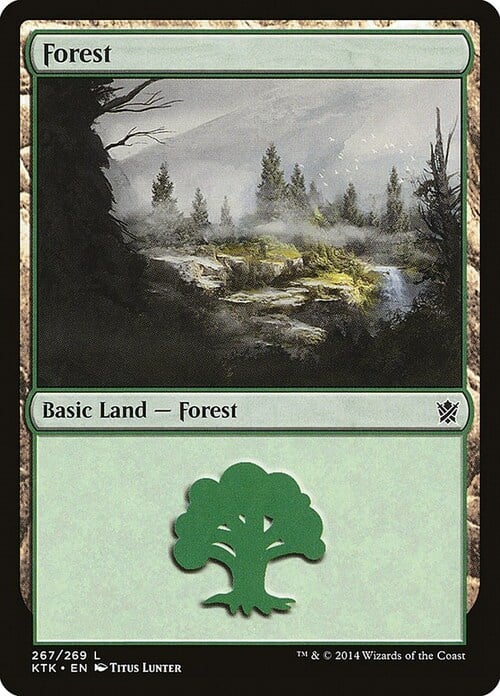 Forest Card Front