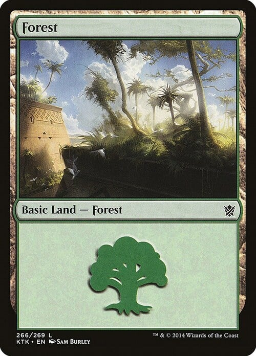Forest Card Front